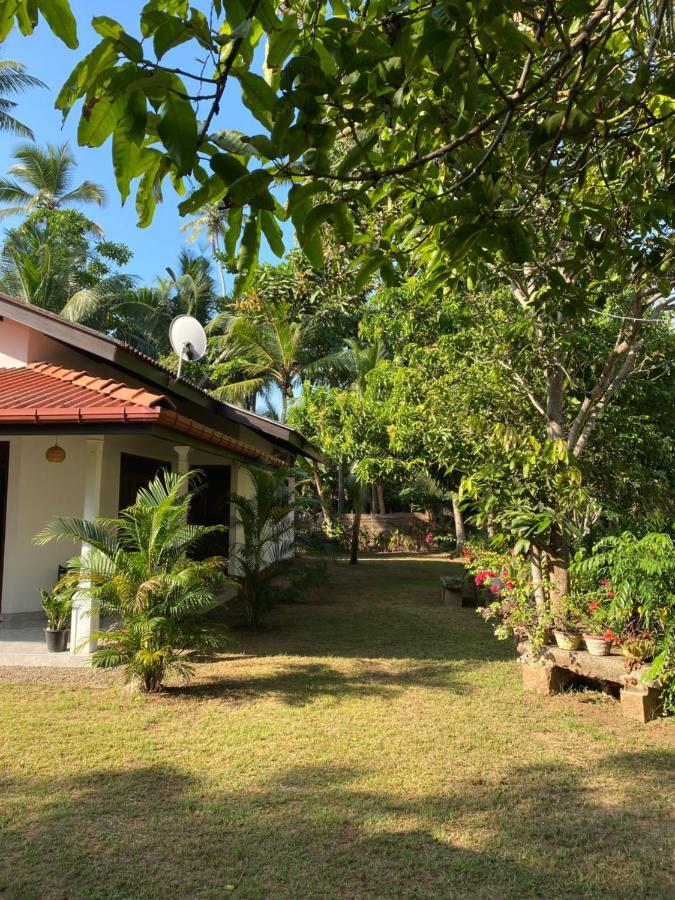 Mango Villa Hikkaduwa Exterior foto